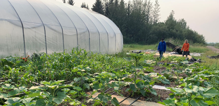people work outside greenhouse