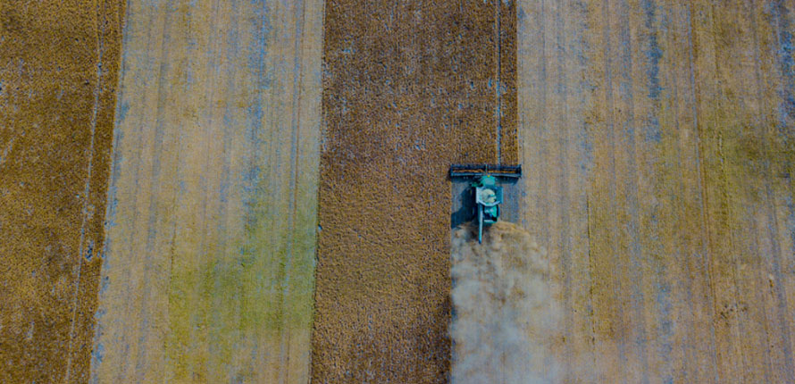 harvestor in field