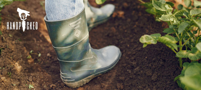 rubber boots in a field