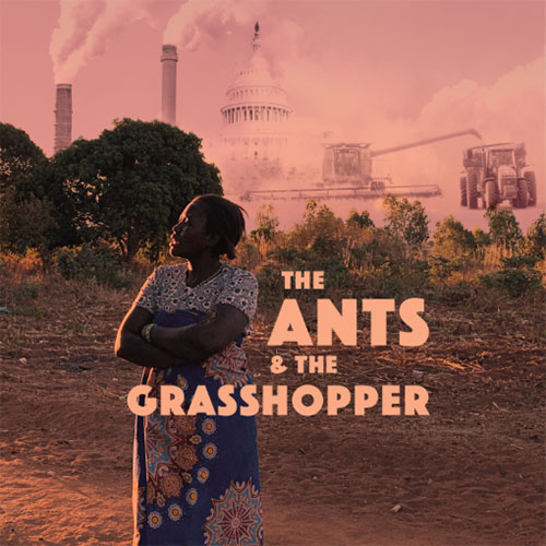 The Ants and the Grasshopper poster