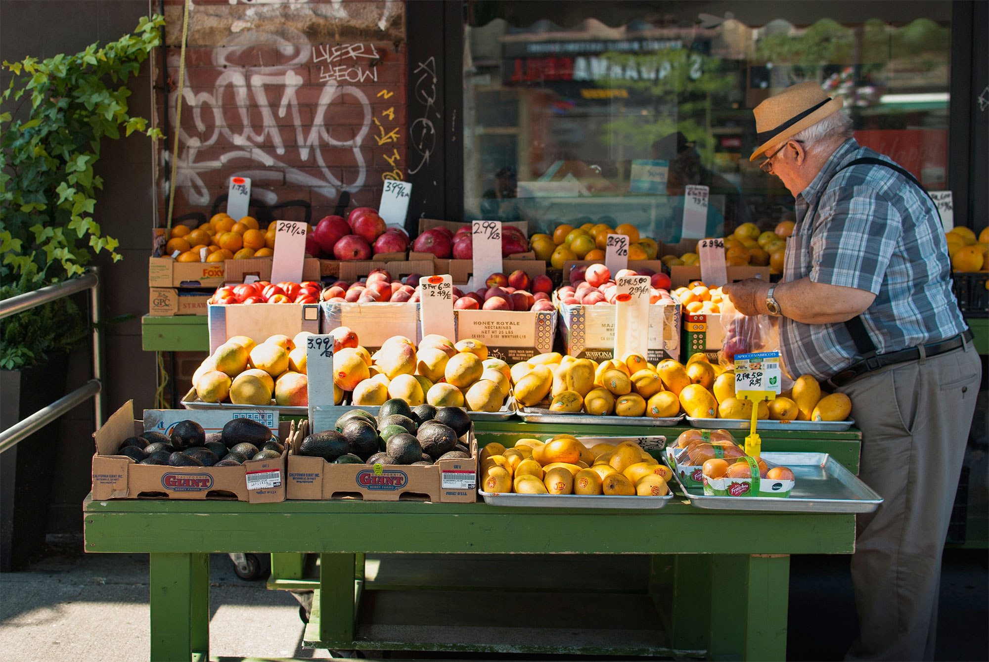 An older man looking at vegetables at a produce stand outdoors