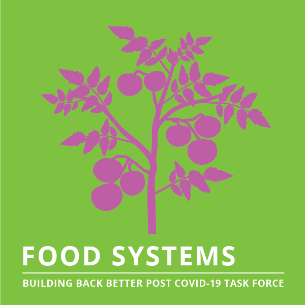 Policy Brief via iPolitics: Now is the Time to Build Sustainable Food System Resilience