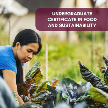 Undergraduate Certificate on Food, Biodiversity, and Sustainability Studies