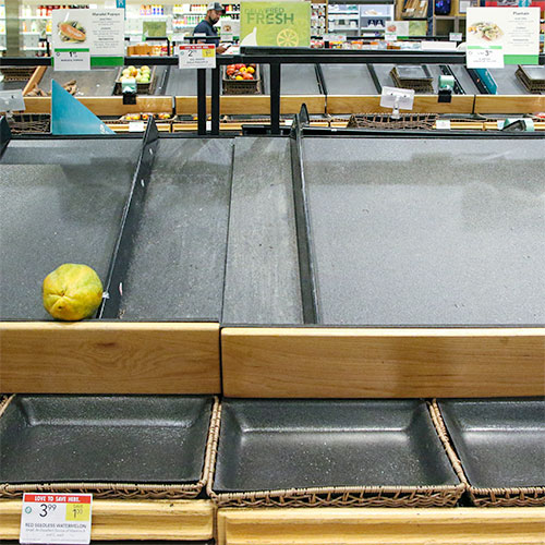  Notes from the Chair: COVID 19 Reveals Gaps in our Food Systems