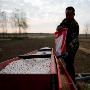 Opinion: We Won’t Stop Biodiversity Loss Without Transforming Food Systems